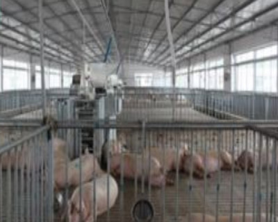 飼養廠污水消泡劑